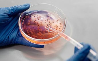 Nuovo allarme colera