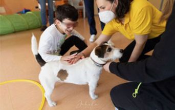 Cani, gatti e conigli contro il bullismo in classe