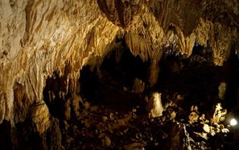 Svelato il mistero genetico della Grotta del Romito