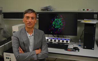 Diabete: il punto con il prof. Paolo Fiorina