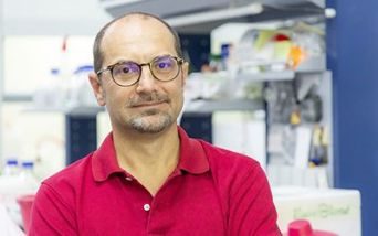 Finanziamento ERC a ricerca Telethon su terapia genica