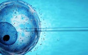 Fecondazione assistita