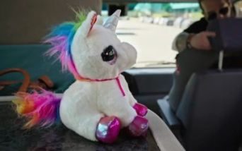 Hai mai visto un unicorno?