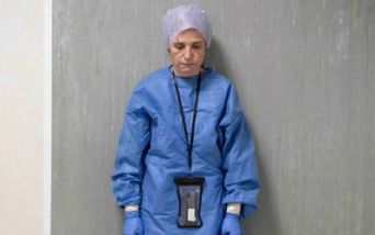 Margherita Lambertini