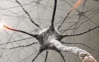 Neurone