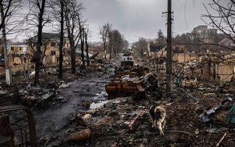 resistenza antimicrobica, guerra