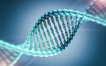 Diagnosi genetica malattie rare, approvato fondo dedicato