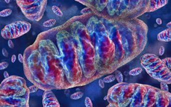 Sindrome di Pearson, MNV-201