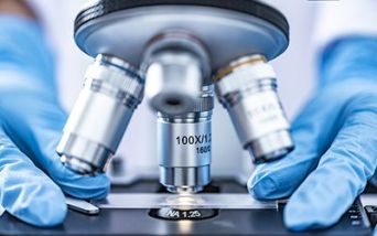 leucemia linfoblastica acuta