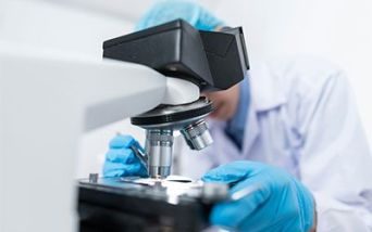 Proteomica urinaria in gravidanza