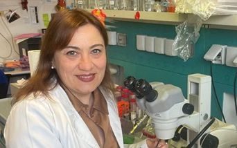 Prof.ssa Michela Ori - Sindrome di Pitt-Hopkins