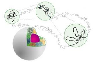Codice tridimensionale di DNA a forma di fiore