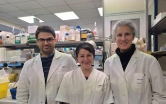 Il gruppo di studio coordinato da Giulia Fontemaggi