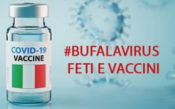 Bufalavirus feti e vaccino