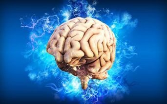 One brain One Health”: arriva il Manifesto sulla salute del cervello