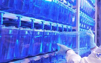 Identificata nuova malattia ultra-rara dello sviluppo correlata al gene ARF