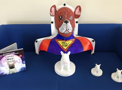 MeV, il cane supereroe che aiuta i piccoli pazienti a combattere il tumore