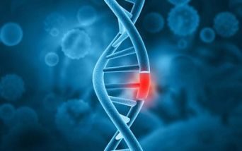 Mozione riconoscimento STXBP1