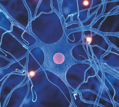 Neurone - Rappresentazione grafica