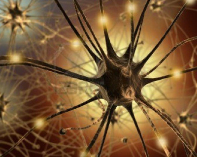 Neuroni - Immagine esemplificativa