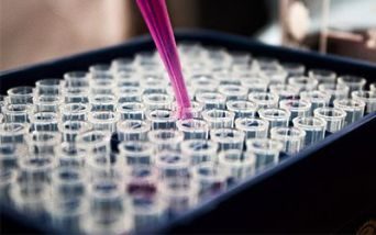 Proposta di Legge “carta d’identità genetica” neonati Pugliesi