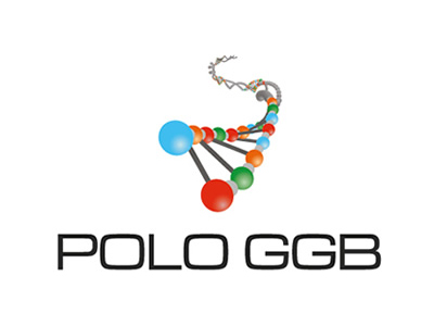 Polo GGB