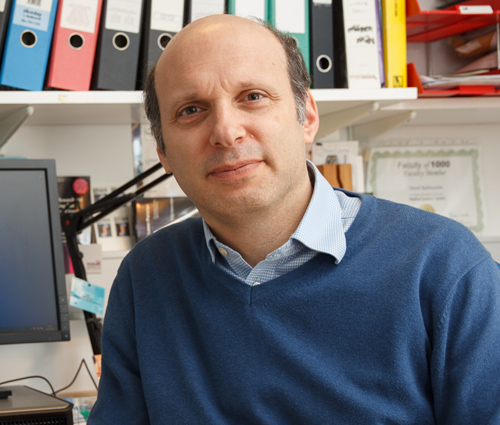 Prof. David Rubinsztein