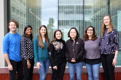 leucemia linfoblastica acuta, ricercatori dell'Università di Stanford