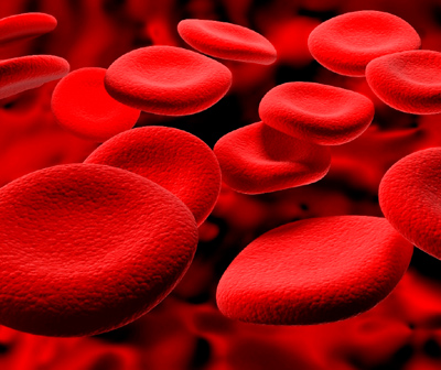 Immagine di globuli rossi del sangue