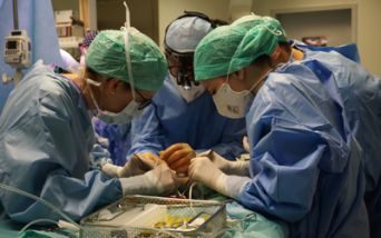 trapianto polmone Bergamo