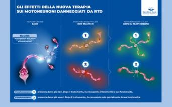 Studio sul deficit del trasportatore di riboflavina